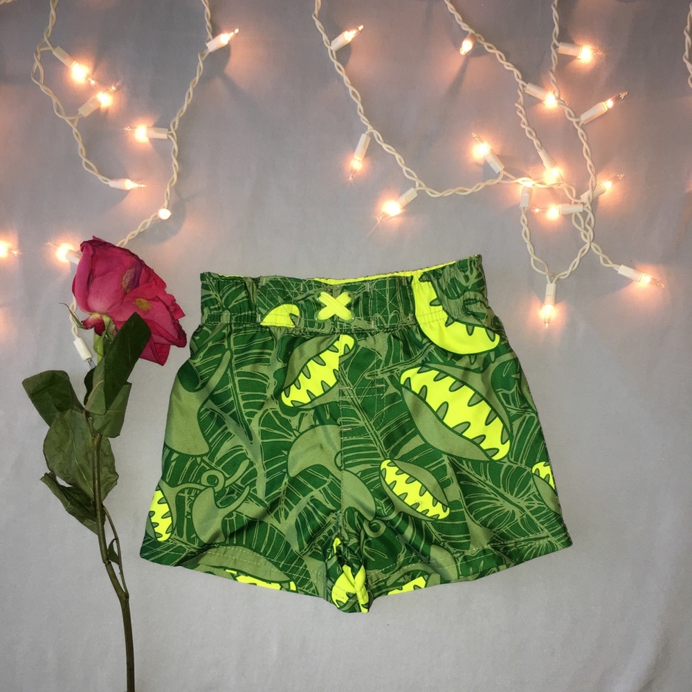 Circo swim trunks